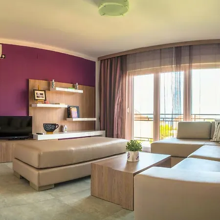 Anikol * セルツェ